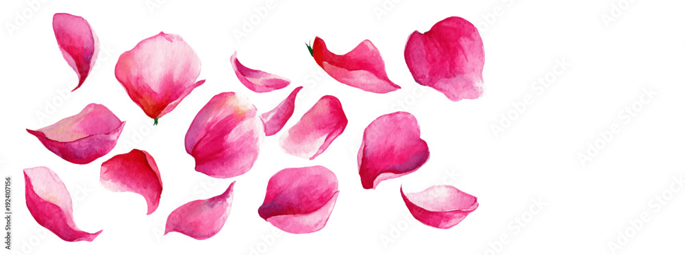 Fototapeta premium Pink watercolor rose petals scattered on white background, creating a soft floral border, symbolizing romance, love, beauty, nature, and delicate spring sensations