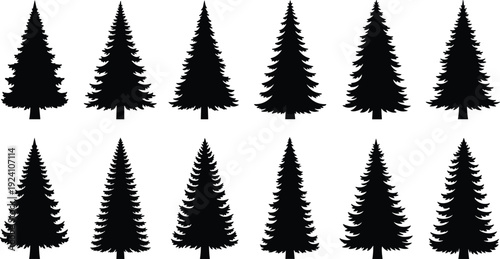 Set of Evergreen Tree Silhouettes Featuring Stylized Coniferous Shapes and Branch Patterns in Black-and-White Botanical Artwork
