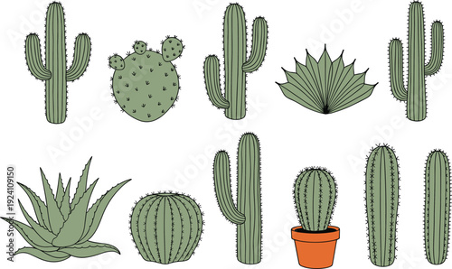 Cactus and Succulent Collection Vector Illustration Set with Saguaro Prickly Pear Aloe and Potted Desert Plants Isolated on White Background