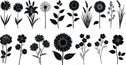 Black wildflower silhouettes collection, sunflower rose daisy dandelion botanical vector illustration isolated on white background for decorative design