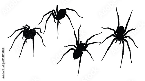A group of black spiders on a white background isolated on white background, Vector