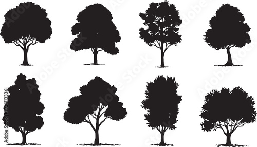 Eight black silhouette deciduous trees with detailed branches and leafy canopies on a white background