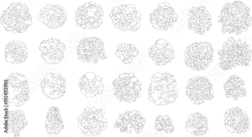 Abstract organic shapes with irregular outlines. Organic cellular structures with complex internal divisions. Repeating pattern of irregular blob forms