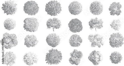 Collection of twenty four grey stippled trees viewed from above nature plant foliage