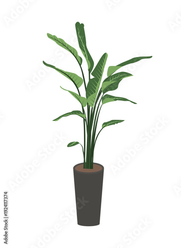 Minimalist vector illustration of a tall tropical houseplant in a modern dark pot. Perfect for interior design mockups, home decor blogs, office greenery concepts, and botanical graphic layouts.