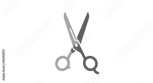 A pair of sharp stainless steel scissors with open blades.