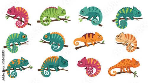 Colorful array of chameleon illustrations in various poses and patterns for nature and wildlife education or children s book design.