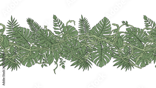 Seamless horizontal border design of lush tropical jungle foliage including various palm, monstera, and fern leaf species.