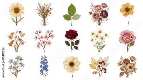 ヴィンテージ水彩画風の花と葉のコレクション。ひまわり、バラ、デイジー、桜、ユリ、デルフィニウム、アネモネ、ラズベリーの葉、ドライフラワーのブーケが含まれます。白背景に描かれた、繊細な色合いのイラストレーション。