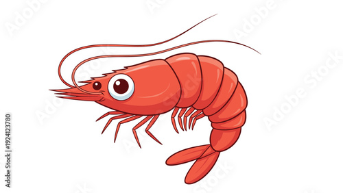 Large red shrimp illustration showing detailed segments of its shell and long antennae for food and seafood related design projects.