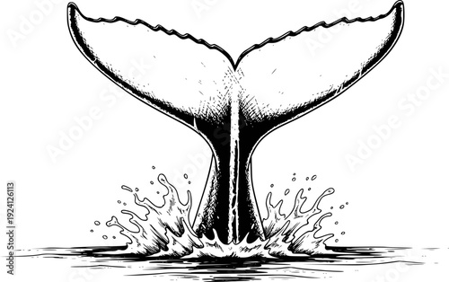 Black and white of a whale tail splashing into water with transparent background