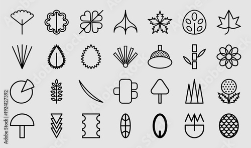 Botanical structural diagrams and organic nature symbols. Minimalist monoline plant anatomy icons featuring leaf morphology, seeds, and floral silhouettes.