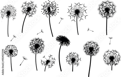 Set of black mushroom silhouettes, fungus icon collection, forest toadstool shapes, organic nature elements, autumn botanical vector, isolated fungal graphics, garden.