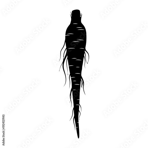 Burdock Root Plant Silhouette for Herbalism and Natural Medicine - Botany Concept