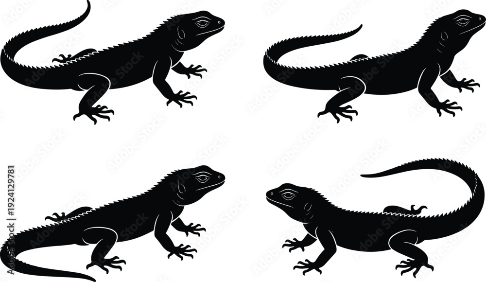 Fototapeta premium Black iguana lizard silhouette set and flat vector illustration, tropical reptile animal cad drawing for landscape architecture, exotic wildlife nature icon collection,