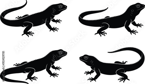 Black iguana lizard silhouette set and flat vector illustration, tropical reptile animal cad drawing for landscape architecture, exotic wildlife nature icon collection,