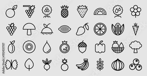 Organic food and agriculture monoline pictograms for healthy lifestyle branding. Minimalist geometric line art of fruits, vegetables, and botanical elements.