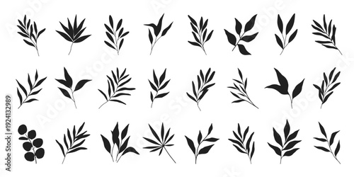 Black silhouettes botanical branches and leaves.Eucalyptus,olive,palm,bamboo,herbs,grass.Minimal monochrome foliage isolated on white.Floral design elements for branding,logo,wedding,invitations