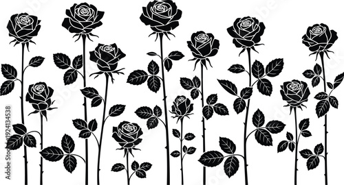 Rose Flower Silhouette Illustration Set with Elegant Botanical Floral Elements for Romantic Design Wedding Decoration and Nature Themed Artwork