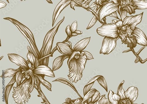 Wallpaper Mural Vanilla orchid seamless coloring page. Botanical outline with hand drawn vanilla flowers branches leaves and pods. Vintage decorative motif for printable kitchen dessert sweet food textile projects. Torontodigital.ca