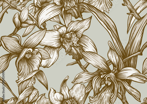 Wallpaper Mural Vanilla orchid seamless coloring page. Botanical outline with hand drawn vanilla flowers branches leaves and pods. Vintage decorative motif for printable kitchen dessert sweet food textile projects. Torontodigital.ca