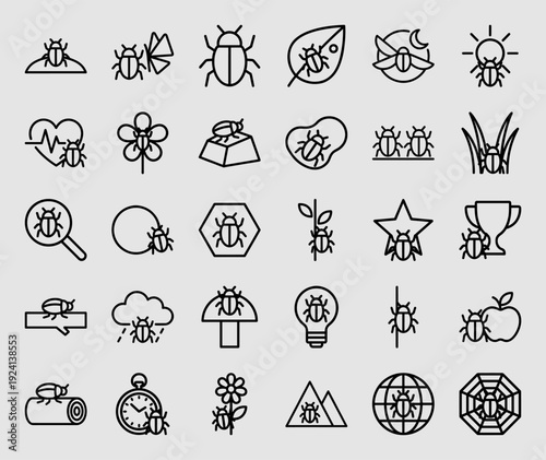 Insects and pest control conceptual monoline icons. Minimalist beetle and bug illustrations for agriculture, biology, and environment management.
