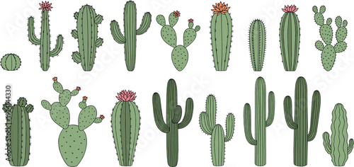 Hand Drawn Cactus Collection Set with Blooming Desert Plants, Prickly Pear and Saguaro Succulents Isolated on Light Background Vector Illustration