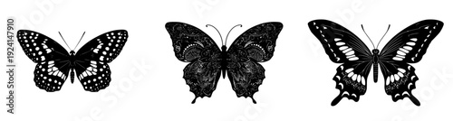 Monochrome Artistry: The Elegant Butterfly Silhouette