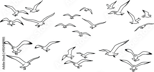 Hand drawn minimalist flying seagull bird flock set featuring various soaring and gliding positions for coastal beach nautical and ocean themed vector designs.