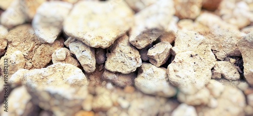 Foto A cluster of pale, irregular stones captured in soft light