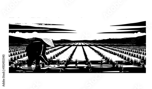 Farmer Planting Rice Seedlings at Sunset in Paddy Field Vector Illustration