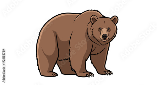 Illustration of a Standing Brown Bear