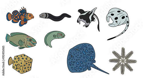 Colorful Marine Animals and Fish Collection Isolated on White