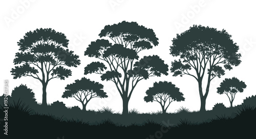 Silhouette of Diverse African Acacia Trees in a Row.