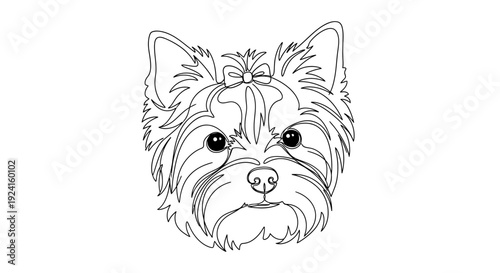 Yorkshire Terrier Dog Face Line Art Illustration.