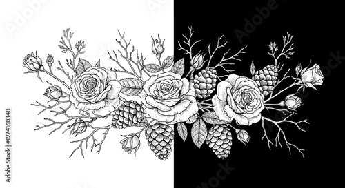 Black and White Floral Illustration with Roses.