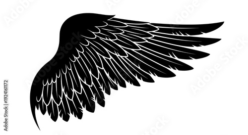 Black Bird Wing Silhouette with White Feathers.