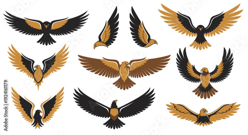 Collection of Various Bird Silhouettes in Flight.