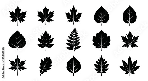 Collection of Various Leaf Silhouettes.