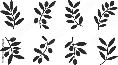 Eight black and white of olive branches with and without olives leaves