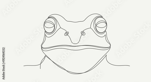 Detailed Line Drawing of Frog Face.