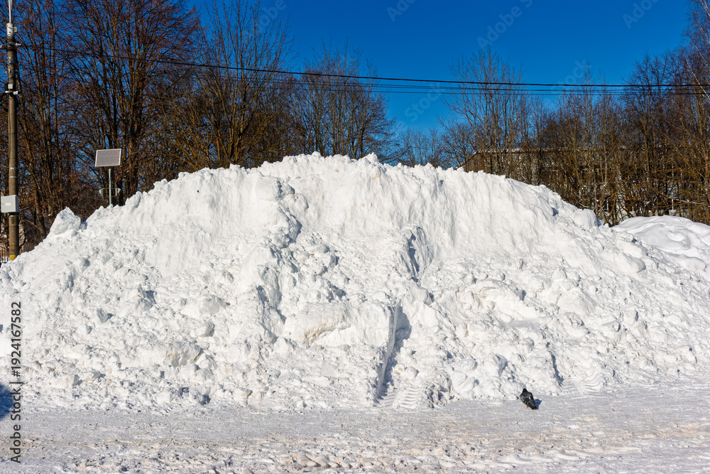 Fototapeta premium Massive snowdrift, cleared by machinery, dominates the urban street with bare trees and clear blue sky in background