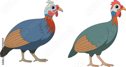 Vector, Illustration, of, Colorful, Guinea, Fowl, Birds, for, Farm, Identity, Branding, Wildlife, Nature, Lover, Poultry, Farming, and, Professional, Graphic, Design, Projects, Collection