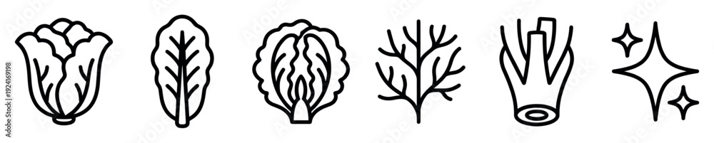 Fototapeta premium Collection of minimalist vegetable line icons showing fresh greens like cabbage, lettuce, dill, and celery with a sparkle symbol, drawn with bold black outlines