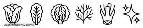 Collection of minimalist vegetable line icons showing fresh greens like cabbage, lettuce, dill, and celery with a sparkle symbol, drawn with bold black outlines