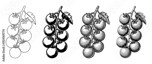 Four black and white cherry tomato illustrations on a vine, showcasing a collection of different artistic styles including line art, high contrast silhouette, detailed engraving, and stippling