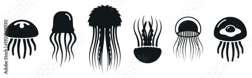Set of six black jellyfish silhouettes with various bell shapes and tentacle styles, presented as minimalist graphic icons for aquatic and marine life themed design
