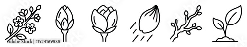 Set of black line icons illustrating the plant life cycle from seed to blossom, including a sprout, bud, and flowering branch in a minimalist graphic style