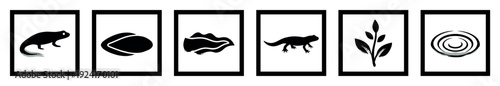 Set of six black minimalist icons depicting nature symbols including a skunk, lizard, plant, seed, and abstract shapes inside vertical rectangular frames with a simple graphic style