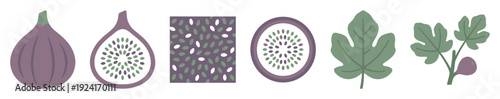 Set of purple fig fruit illustrations showing a whole fruit, cut half, slice, leaf, and branch in a simple flat vector style for healthy food or botanical concepts